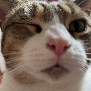 Meet your Posher, Aaa